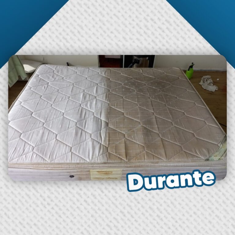 32773140-3f81-4858-9c25-a5751ce0d50e