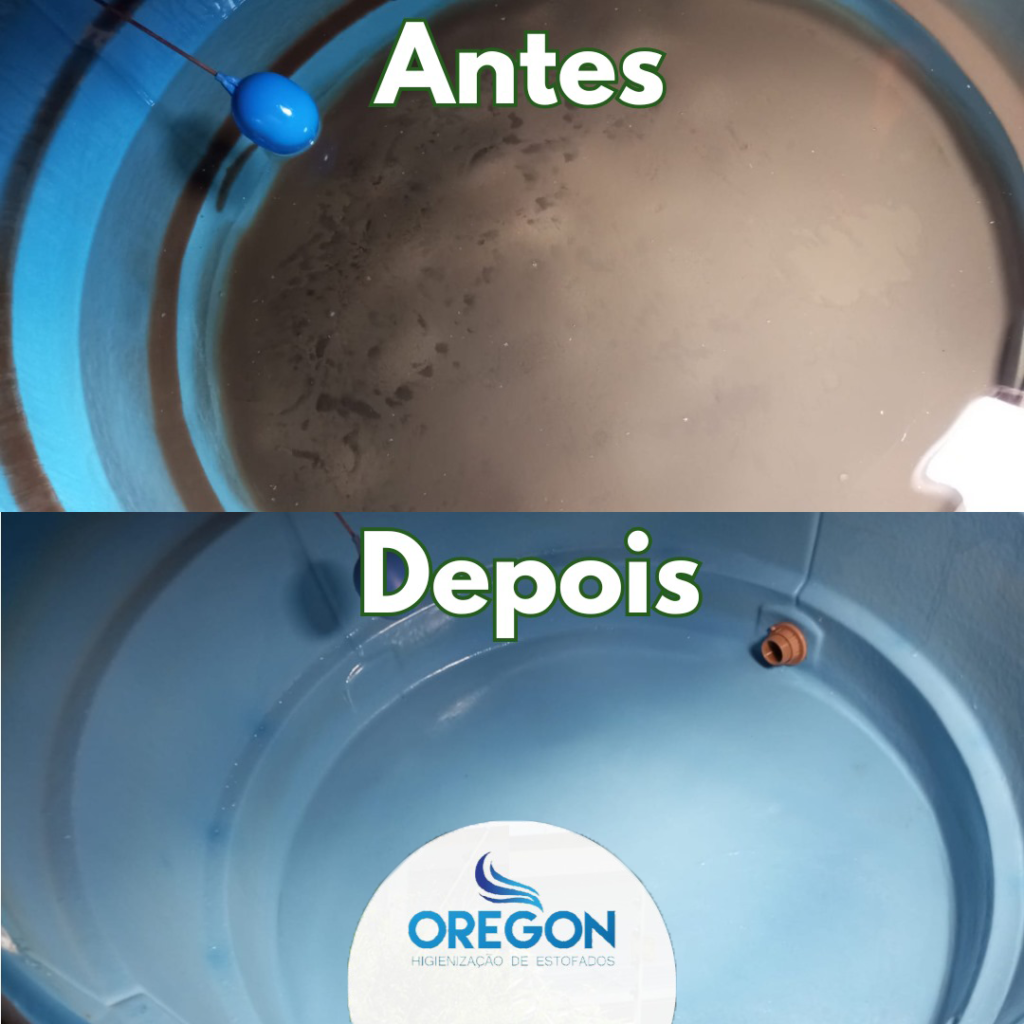 Imagem do WhatsApp de 2024-08-07 à(s) e